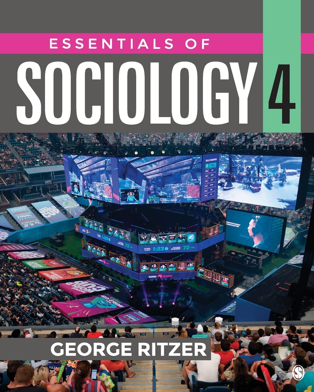 test bank for Essentials of Sociology by Ritzer 4e